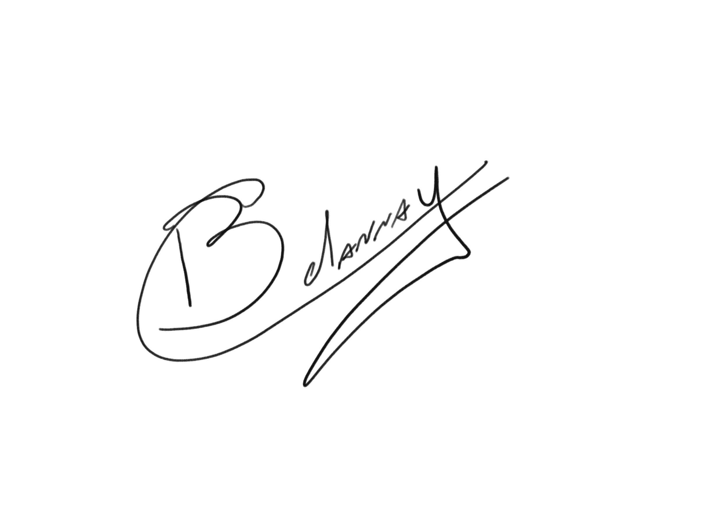 Signature de Brice Delannay